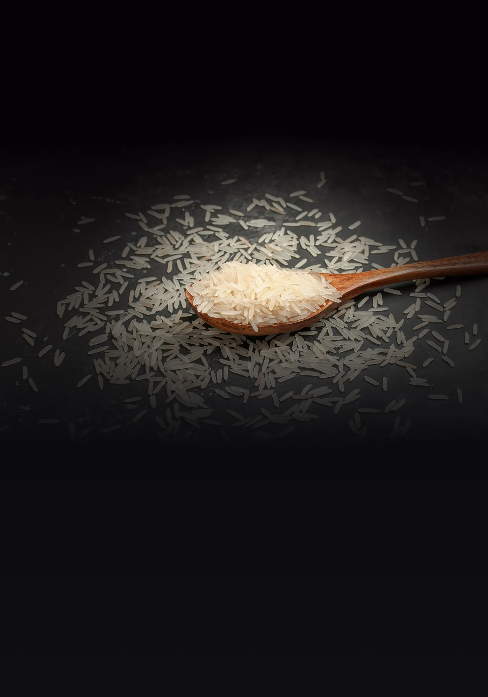 Basmati rice growing region