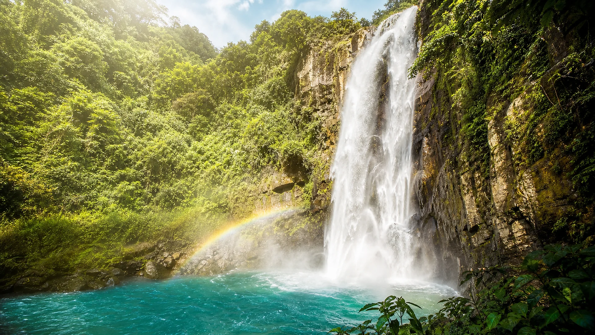 Waterfall flowing through a dense Ecuadorian cloud forest