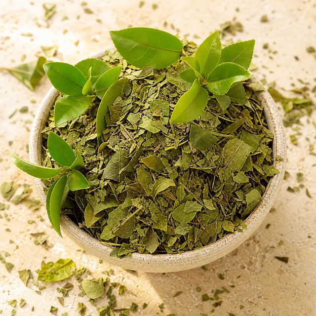 Guayusa leaves and tea arranged in a ceramic bowl